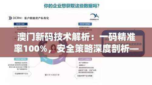 澳门新码技术解析：一码精准率100%，安全策略深度剖析——SOQ713.99优先版