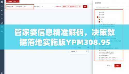 管家婆信息精准解码，决策数据落地实施版YPM308.95