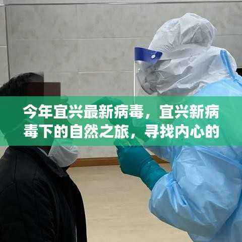 宜兴新病毒下的自然之旅，探寻内心宁静与平和之道