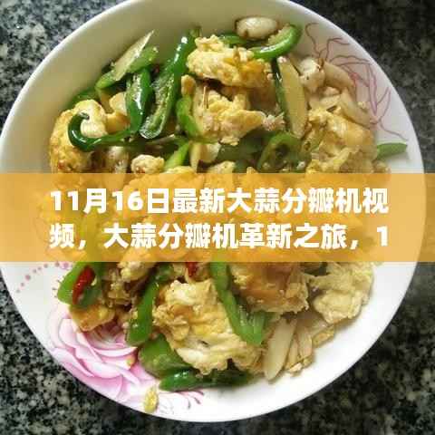 大蒜分瓣机革新之旅揭秘,最新视频展示大蒜分瓣机技术革新