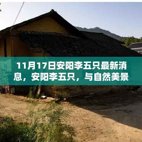 安阳李五只与自然美景的不期而遇,寻找内心的宁静乐园最新消息