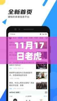 11月17日老虎直播下载最新版攻略,掌握直播新动向