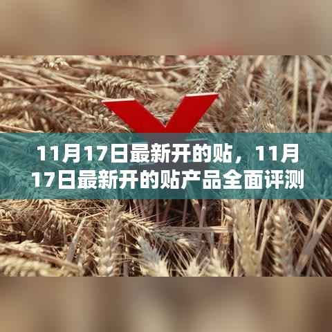 橘虞初梦 第15页