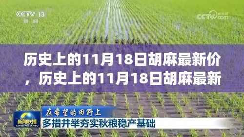 历史上的11月18日胡麻最新价,绿色征途中的内心平静探寻
