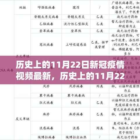 历史上的11月22日新冠疫情视频更新，多维度解读疫情动态