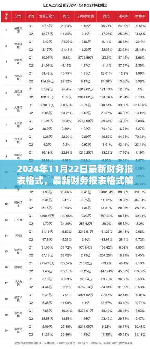 聚焦财务变革,解析最新财务报表格式与解析(2024年11月22日版)