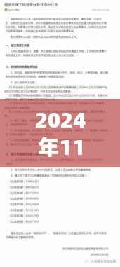 2024年11月30日深圳融金所回顾与展望，最新消息与动态