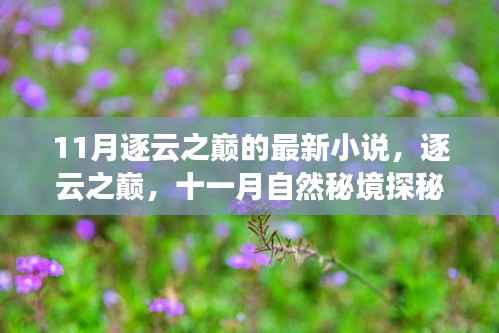 逐云之巅，十一月自然秘境探秘之旅，寻找内心平静的奇妙旅程