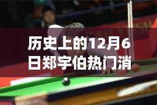 风云际会，历史上的12月6日郑宇伯热门消息全解析