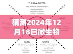 2024年微生物实时研究预测与追踪，微生物动态变化的预测与追踪策略