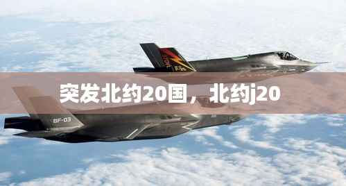 突发北约20国,北约j20