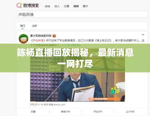 陈杨直播回放揭秘，最新消息一网打尽