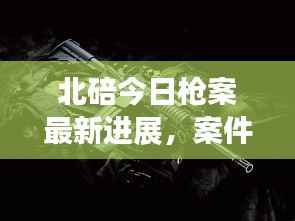 北碚今日枪案最新进展，案件细节揭秘，真相令人震惊！