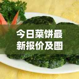 今日菜饼最新报价及图片大全，一览无余