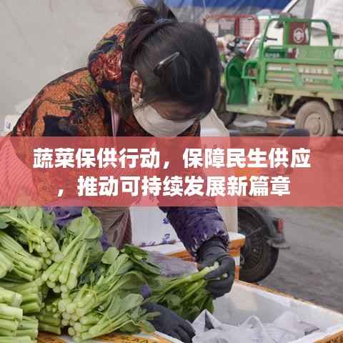 蔬菜保供行动，保障民生供应，推动可持续发展新篇章