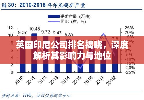 英国印尼公司排名揭晓，深度解析其影响力与地位