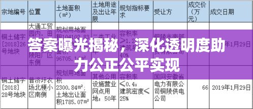 答案曝光揭秘,深化透明度助力公正公平实现