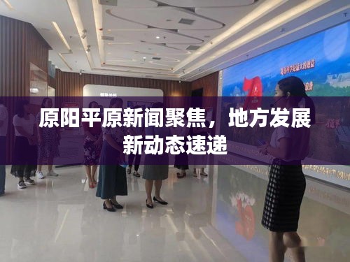 原阳平原新闻聚焦，地方发展新动态速递