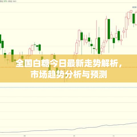 全国白糖今日最新走势解析，市场趋势分析与预测